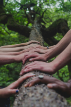 Mind the Gap: Psychologie der Klimakrise