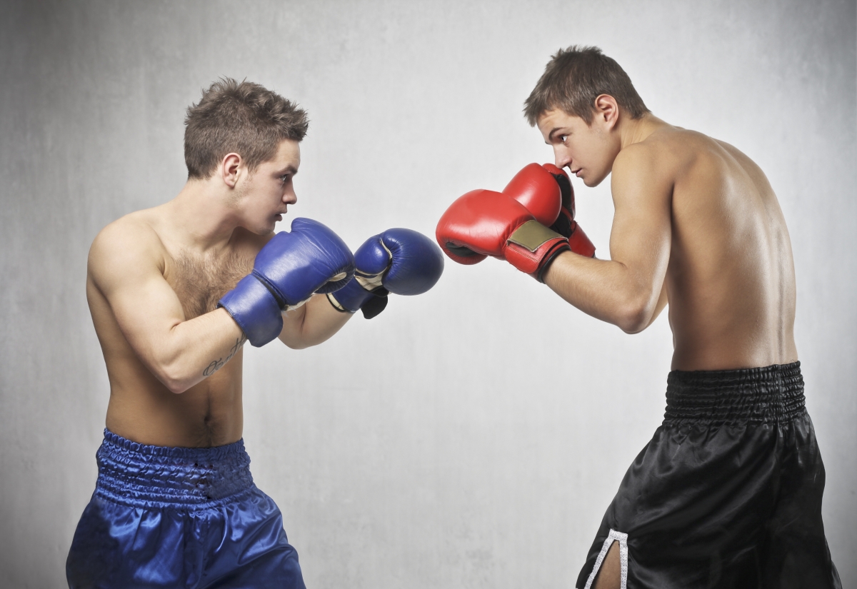 Bild 3: Ollyy via Shutterstock