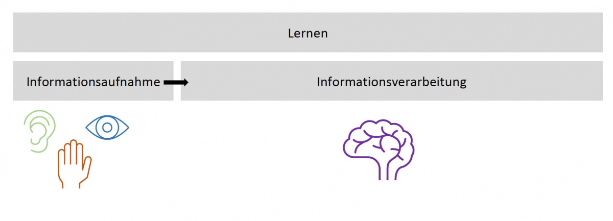 Bild 3: Lernen im Prozess der Informationsaufnahme und -verarbeitung