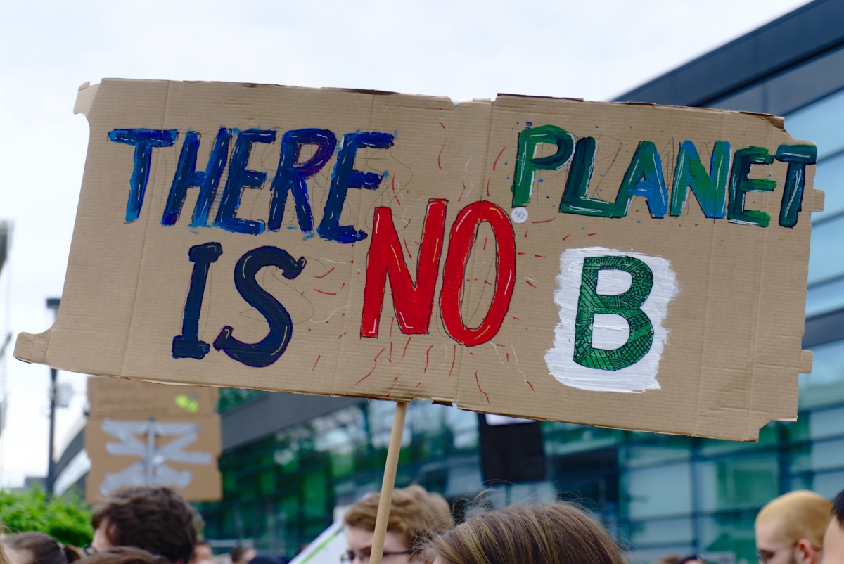 Nachhaltiger gesellschaftlicher Wandel als Zielperspektive! Protestplakat der Fridays for Future Bewegung.